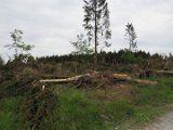 2022-05-20 - Tornado beim Sturmtief Emmelinde Solling - Steinlade bis Gehren (70)